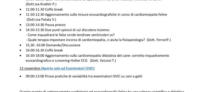 INCONTRO OVIC/CARDIEC FIRENZE 12-13 Novembre 2022