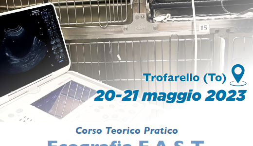 Sabato 20 Maggio 2023 Ecografia F.A.S.T. e PoCUS (Point-of-Care)