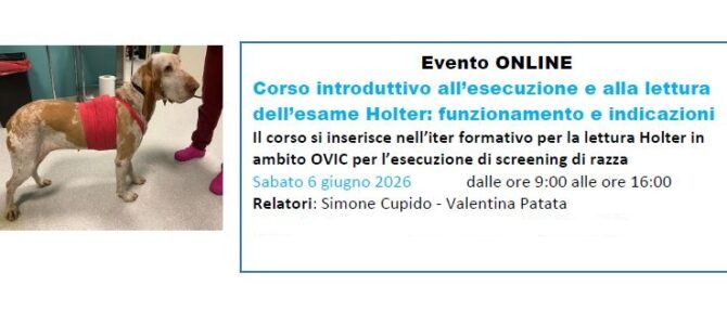 CORSO ONLINE HOLTER